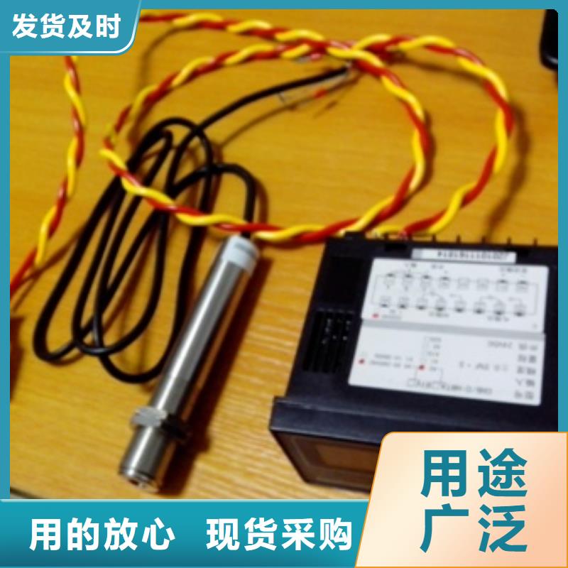 IRTP300L红外探头货源稳定