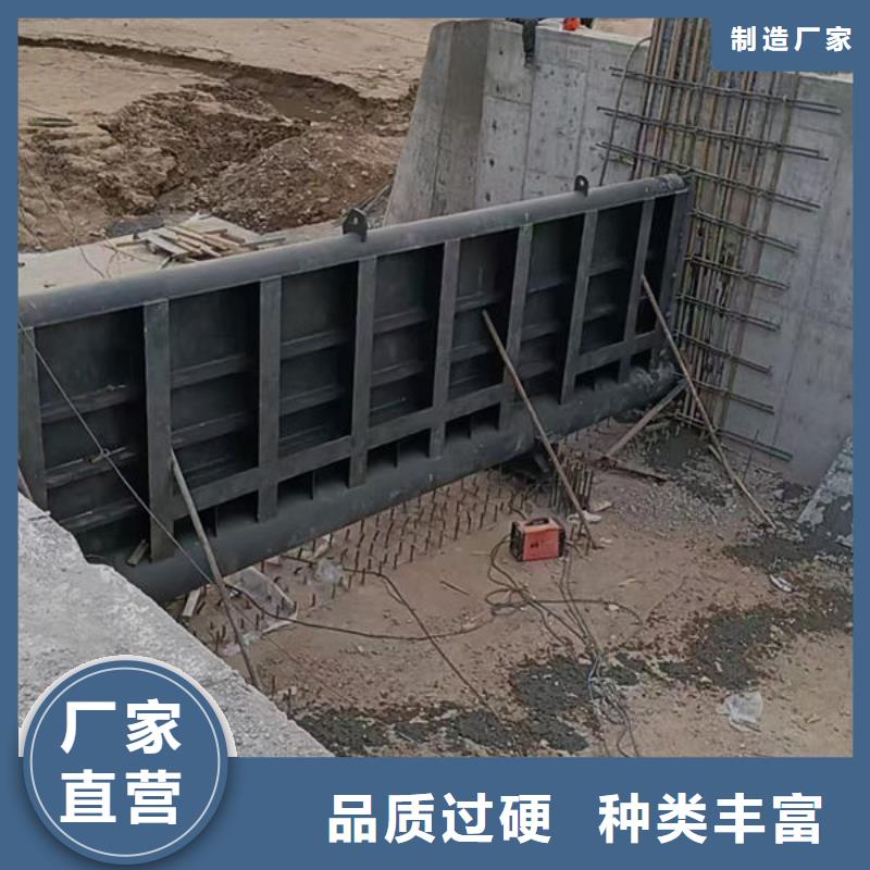 钢坝闸门,自动抓梁批发货源