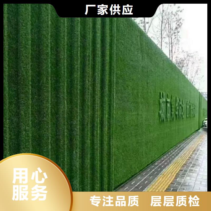 围挡草坪【人工草坪围挡】适用范围广