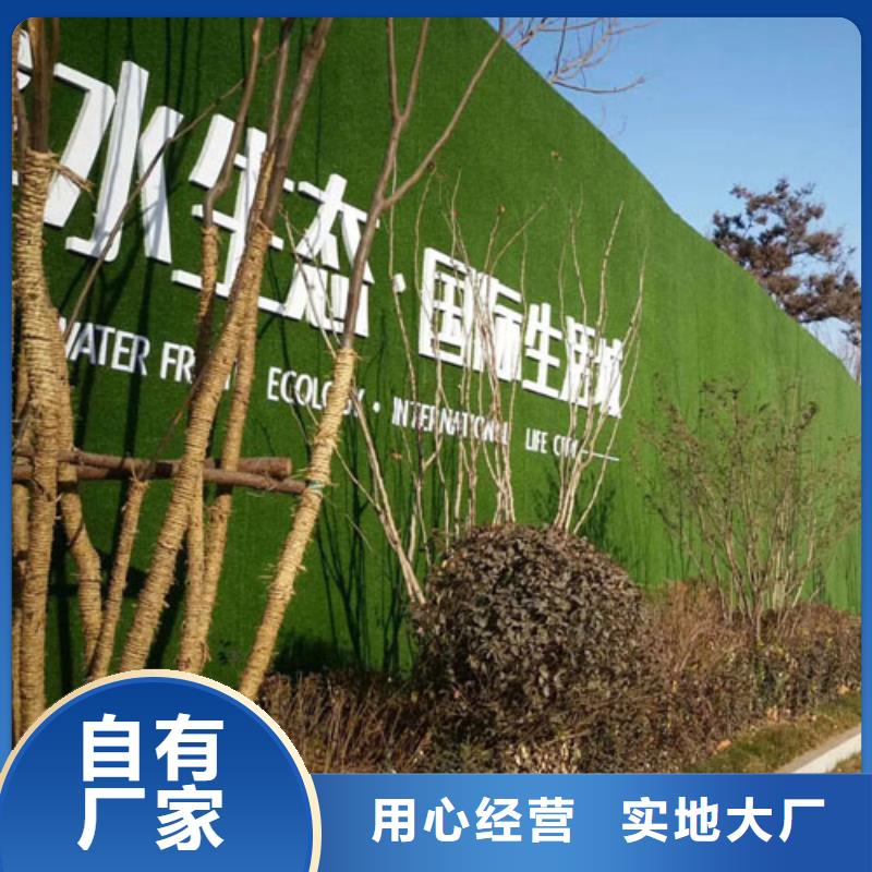 围挡草坪围挡草坪网现货供应