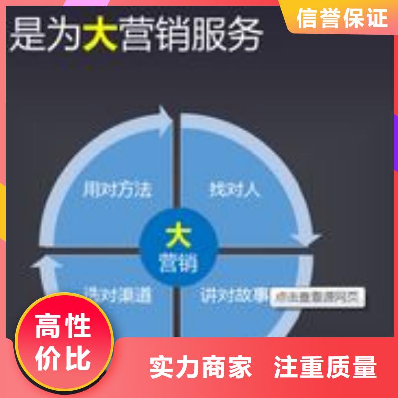 马云网络网络公司放心之选