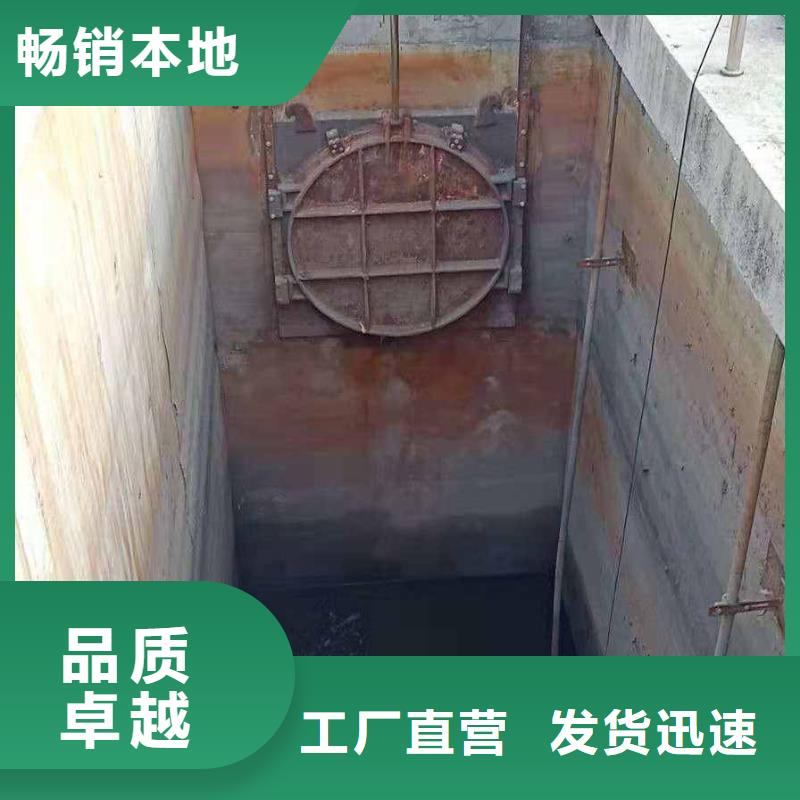 自动抓梁钢闸门规格全可满足不同需求