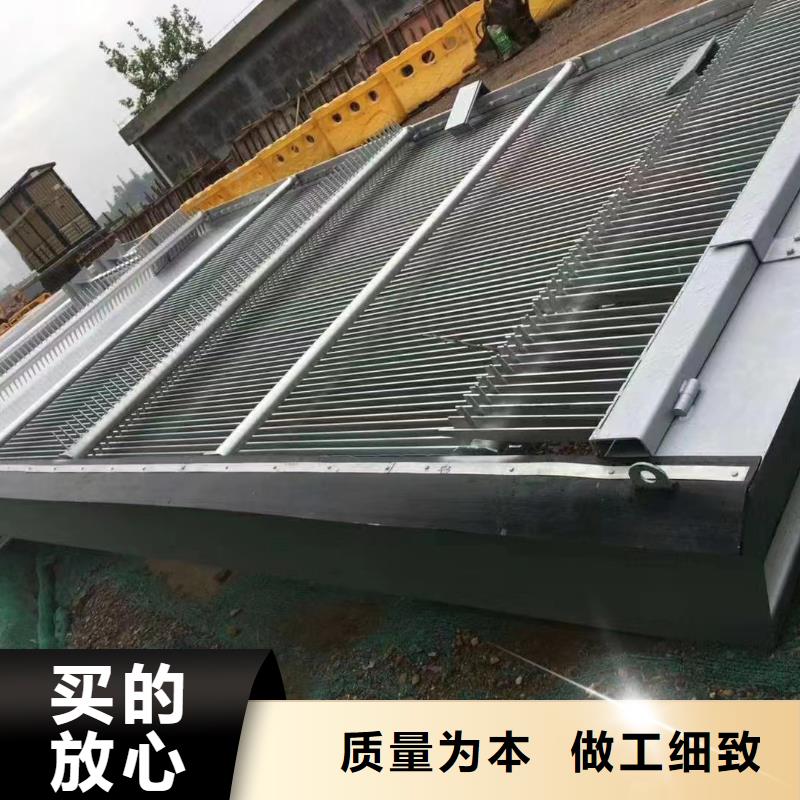 清污机_弧形钢闸门款式多样