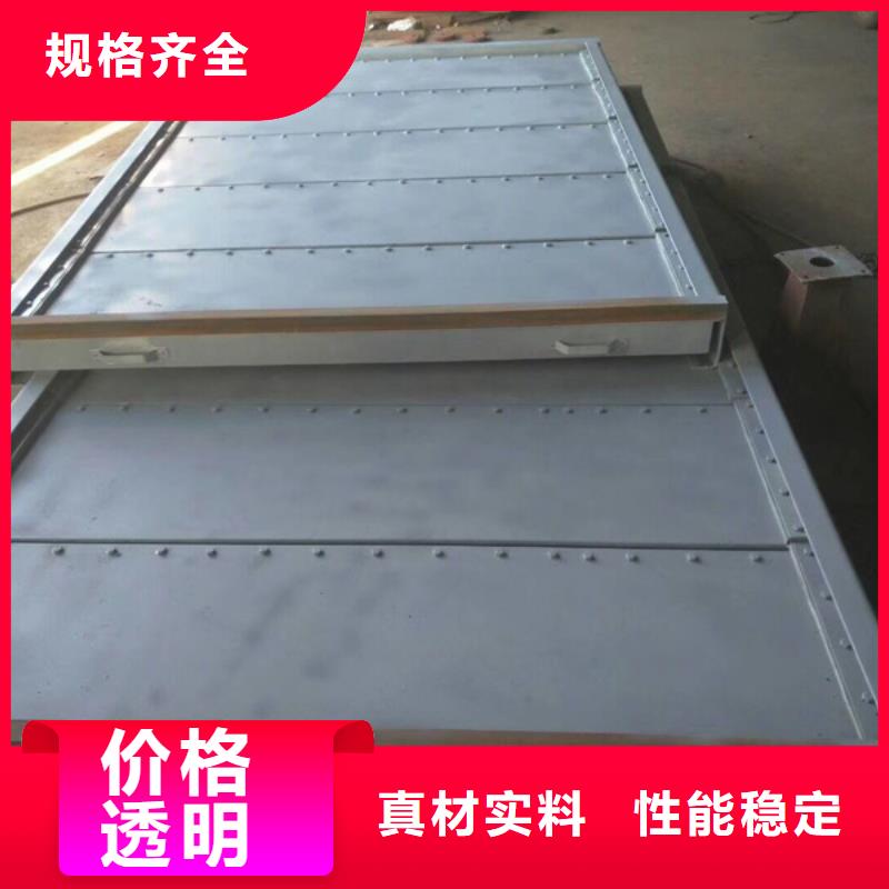 钢闸门-启闭机技术先进