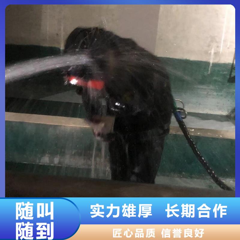 水下封堵：水下摄影队,经验丰富