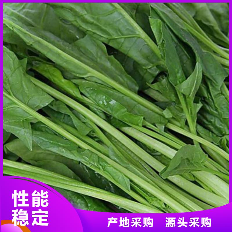 菠菜粉正规厂家