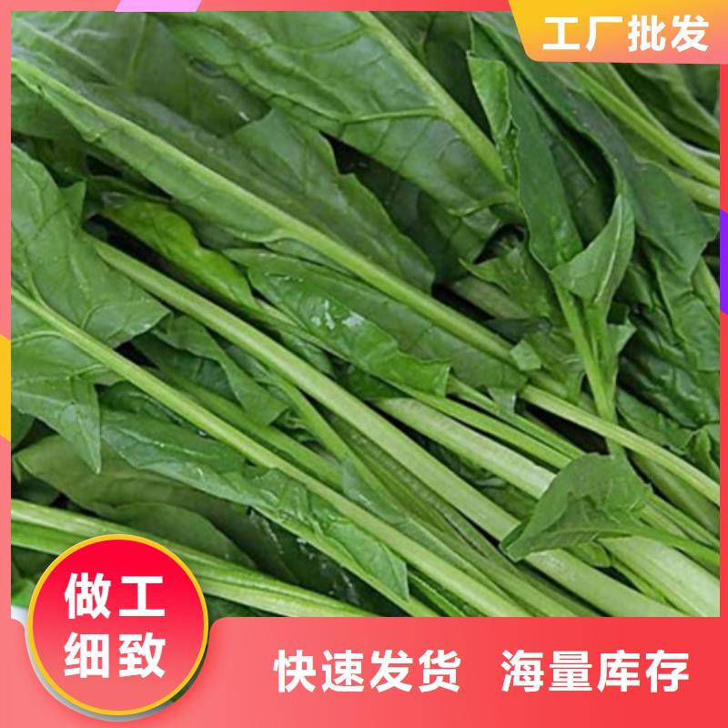 菠菜粉源头厂家