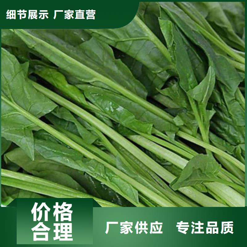 菠菜粉生产