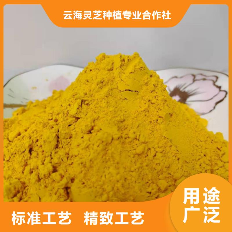 南瓜粉【灵芝孢子粉批发】优选好材铸造好品质