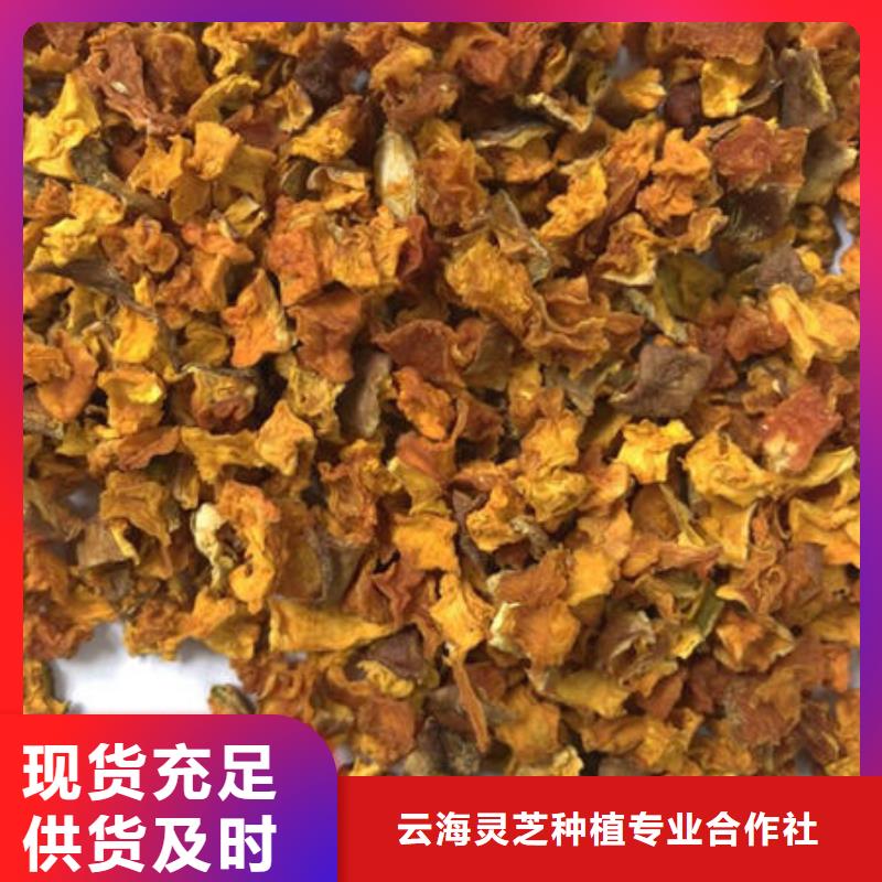 南瓜丁灵芝粉厂家直接面向客户