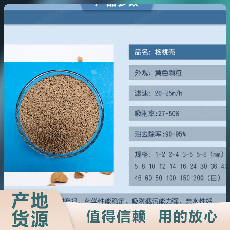 【核桃壳滤料蜂窝斜管工厂采购】