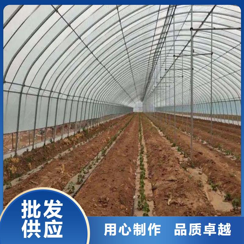 专业生产制造厂 大棚管2 【连体大棚】现货批发- 本地 批发价格_产品案例