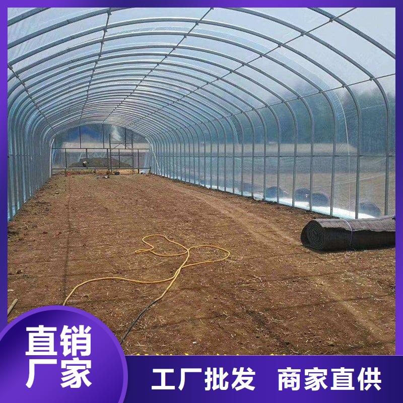 大棚管2方矩管支持大批量采购