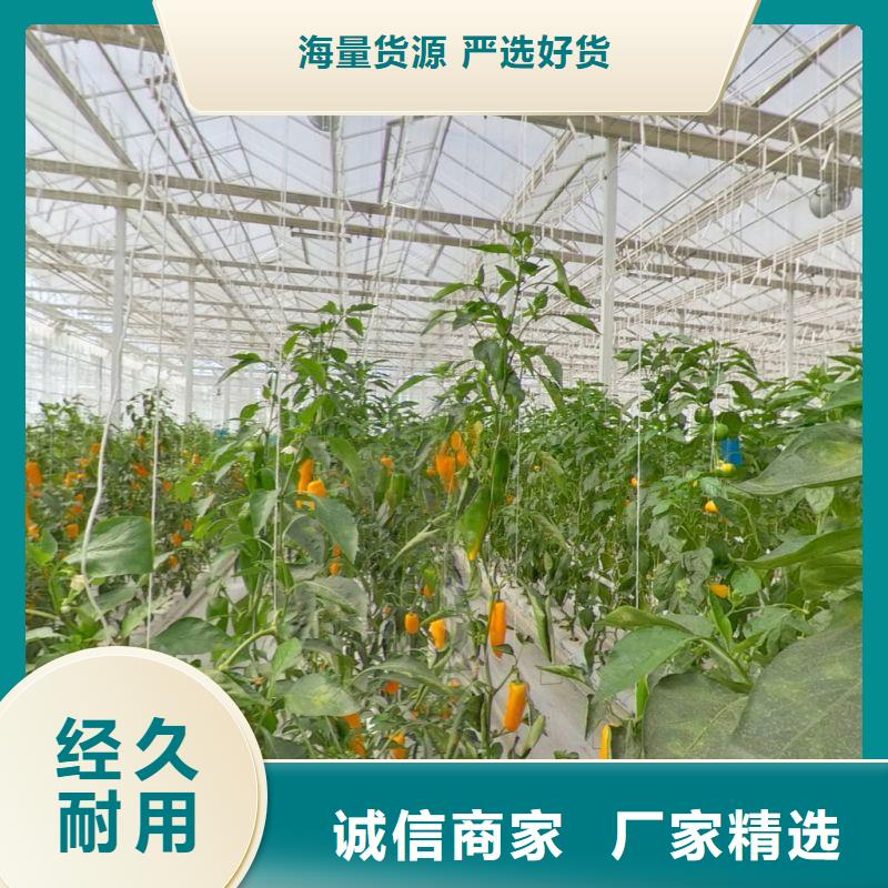 大棚管2_铝管厂家直接面向客户