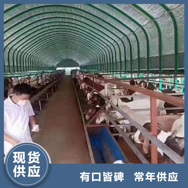 大棚管 温室大棚管用心做好细节