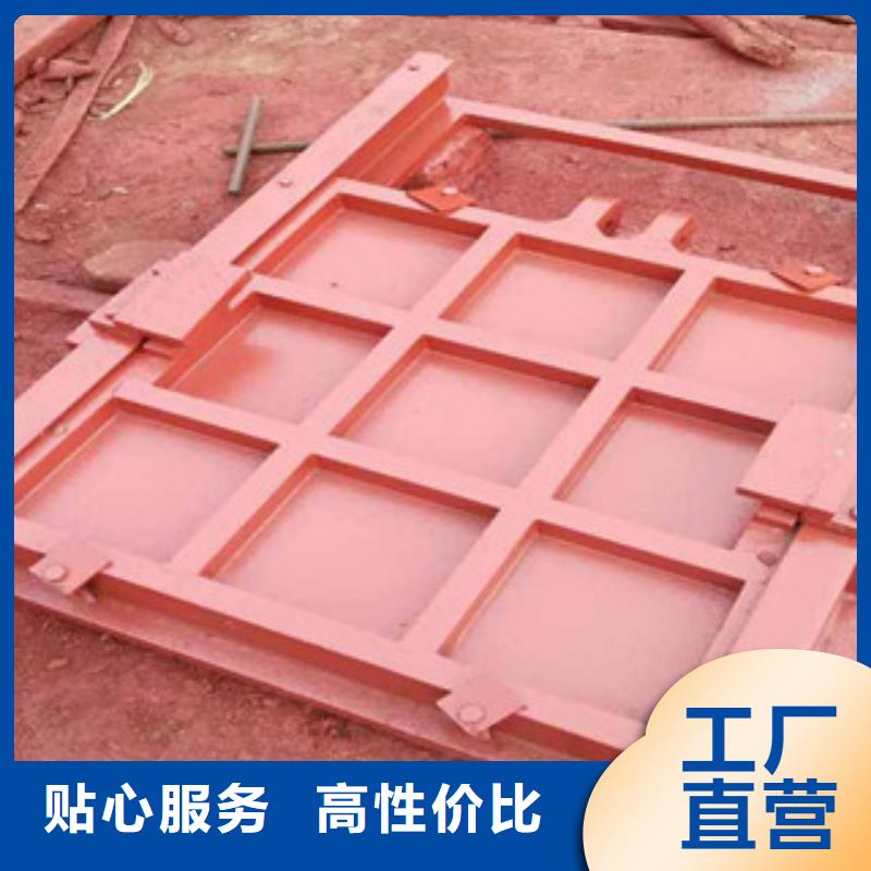 铸铁闸门钢制拍门供您所需