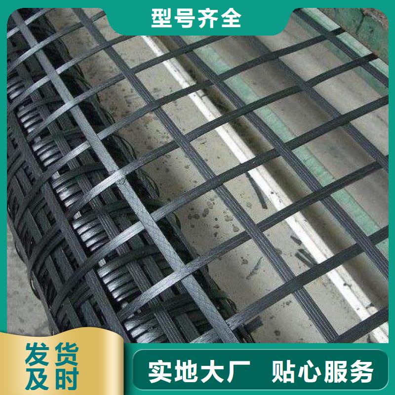 矿用钢塑复合假顶网单向塑料土工格栅出货及时