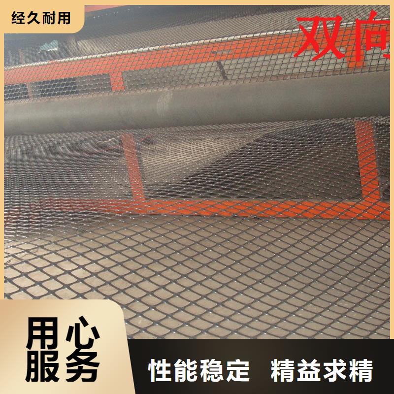 双向塑料土工格栅_护坡土工网大厂家实力看得见