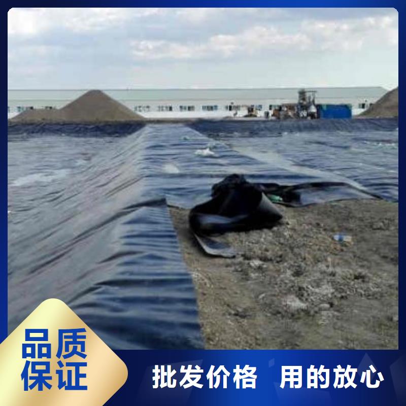 符合行业标准【土工膜】三维植被网国标检测放心购买|本地厂家