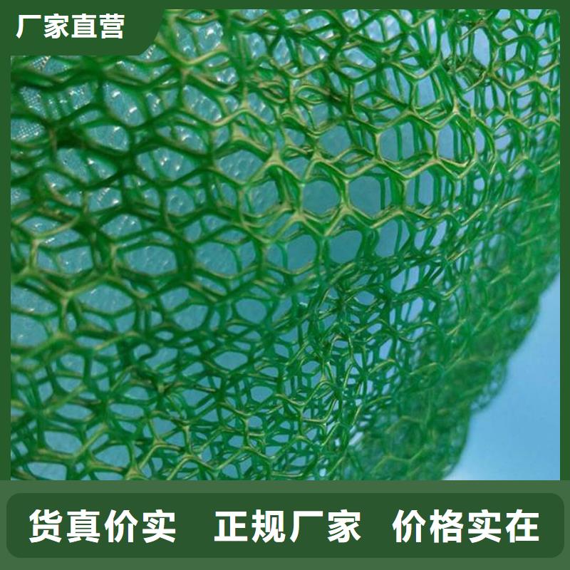 【三维植被网】软式透水管源头厂家来图定制