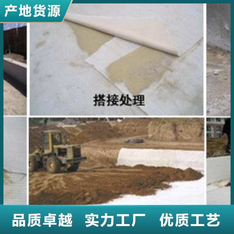恒丰【发货迅速 膨润土防水毯_三维植被网现货批发】-实力厂商-恒丰塑业有限公司
