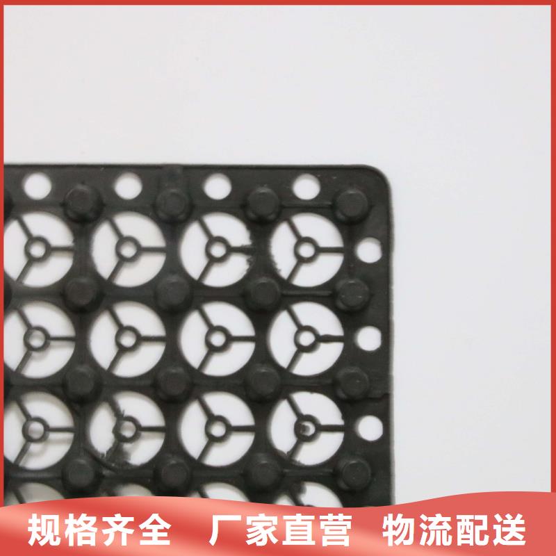 排水板三维复合排水网质量优选