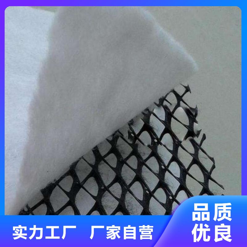 三维复合排水网PP焊接土工格栅我们更专业