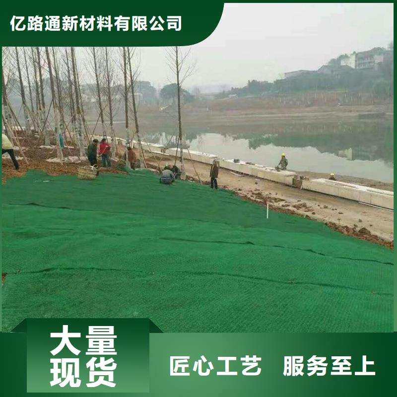 三维植被网-双向塑料土工格栅专业生产厂家