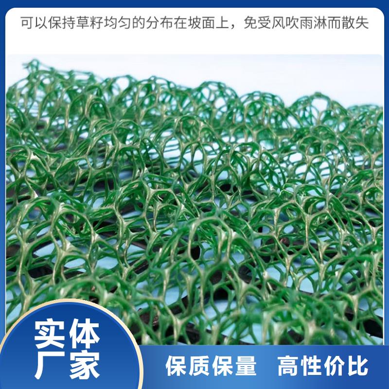 三维植被网钢塑土工格栅N年生产经验