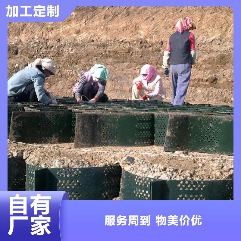 土工格室-单向塑料土工格栅质量优价格低