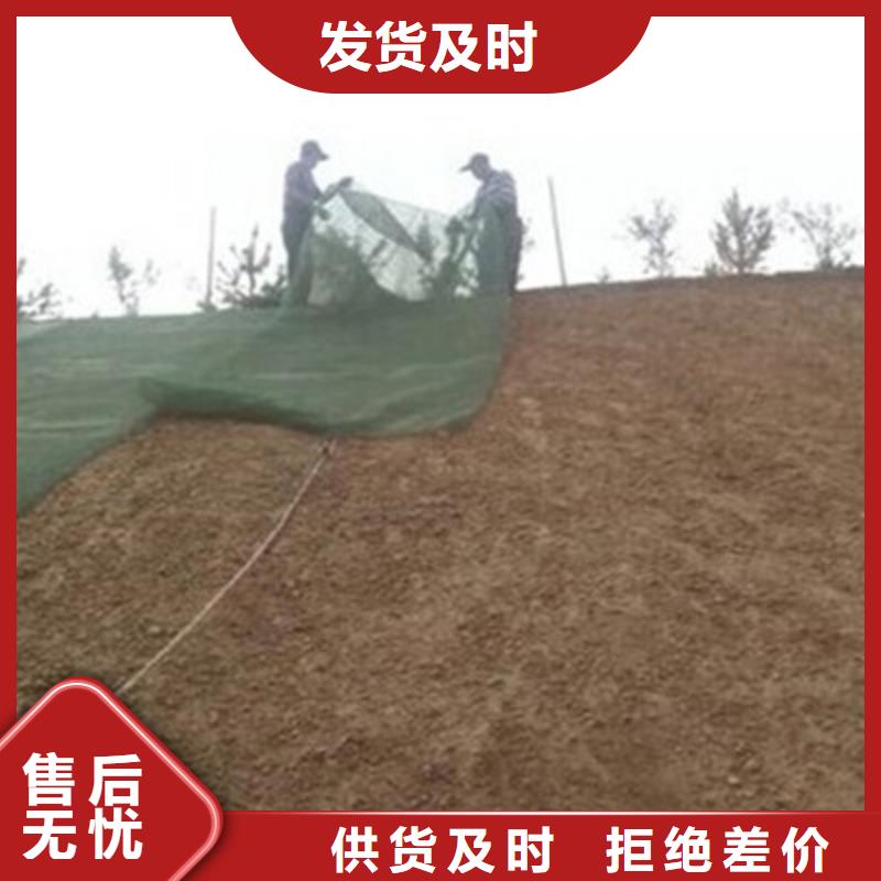 三维植被网凸结点钢塑土工格栅资质认证