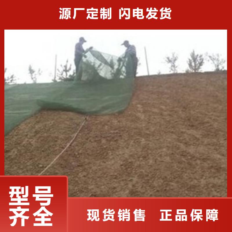 【三维植被网护坡土工网支持定制批发】