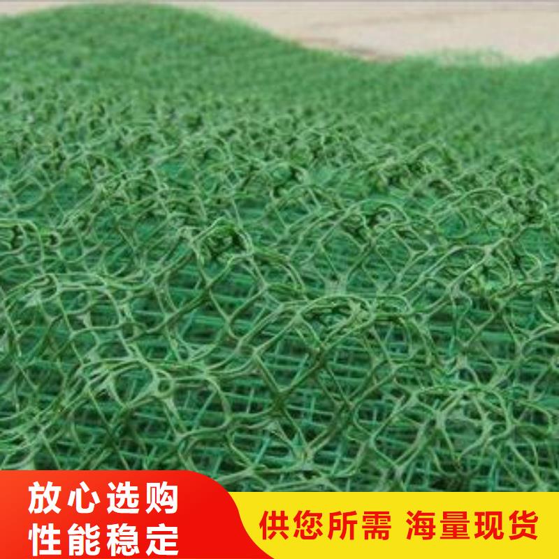 【三维植被网】涤纶格栅经验丰富质量放心