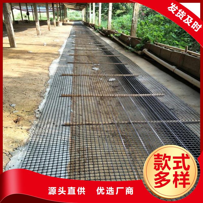 一站式供应厂家【双向塑料土工格栅】 三维植被网厂家售后完善-{鼎诺}
