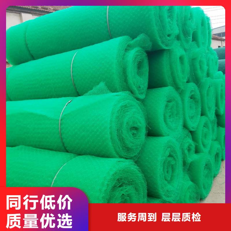 性能稳定【三维植被网】土工格室用心做好细节品牌:《鼎诺》_淘金者的广告