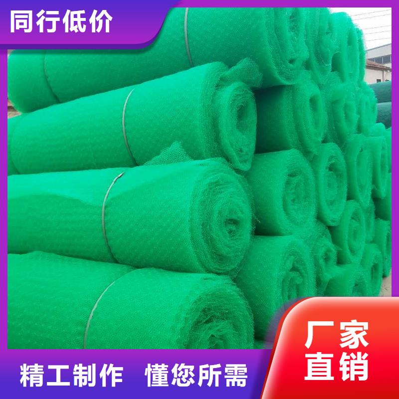 多种规格供您选择 三维植被网 【长丝土工布】专注细节专注品质-当地库存量大-产品资讯