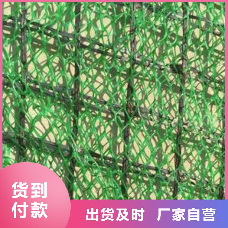 三维植被网【玻纤土工格栅】厂家精选