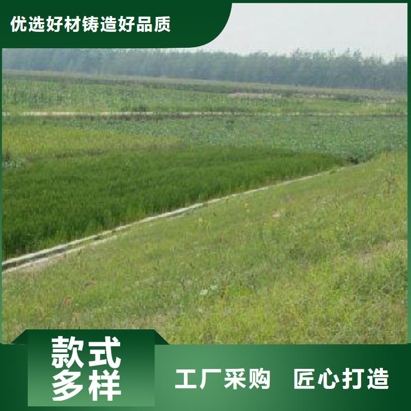 【三维植被网-钢塑土工格栅N年生产经验】