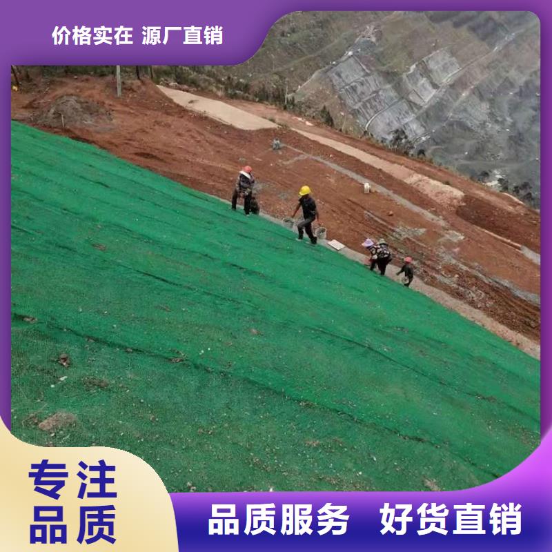 三维植被网护坡土工网源头工厂量大优惠