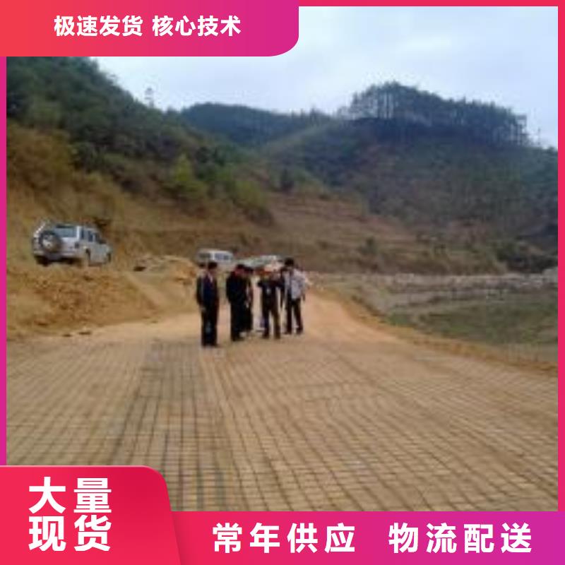 钢塑土工格栅土工布价格售后无忧