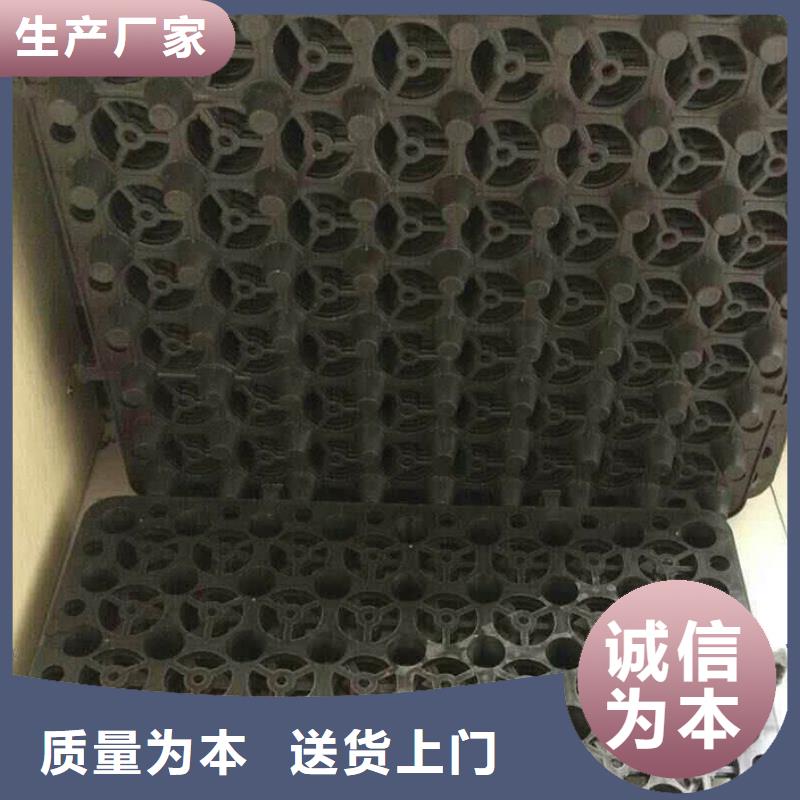 【塑料排水板】玻璃纤维土工格栅打造行业品质