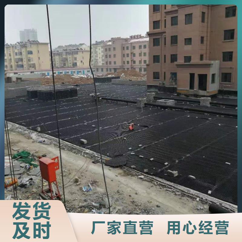 塑料排水板双向塑料土工格栅实体厂家大量现货