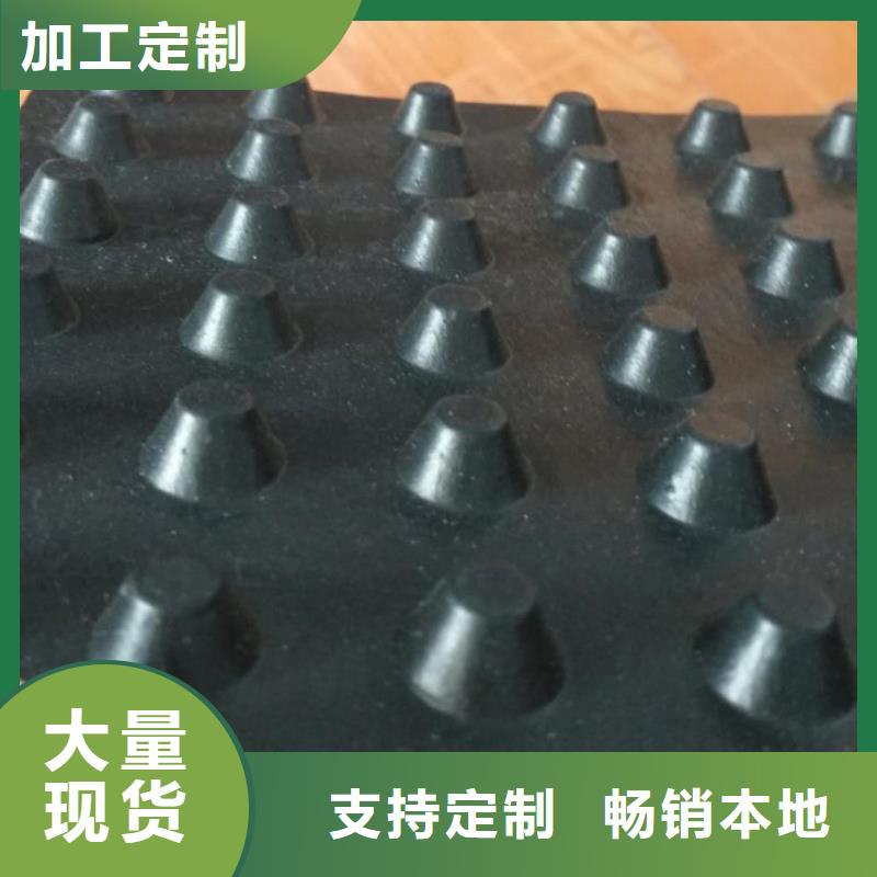 塑料排水板,聚丙烯双拉土工格栅N年专注