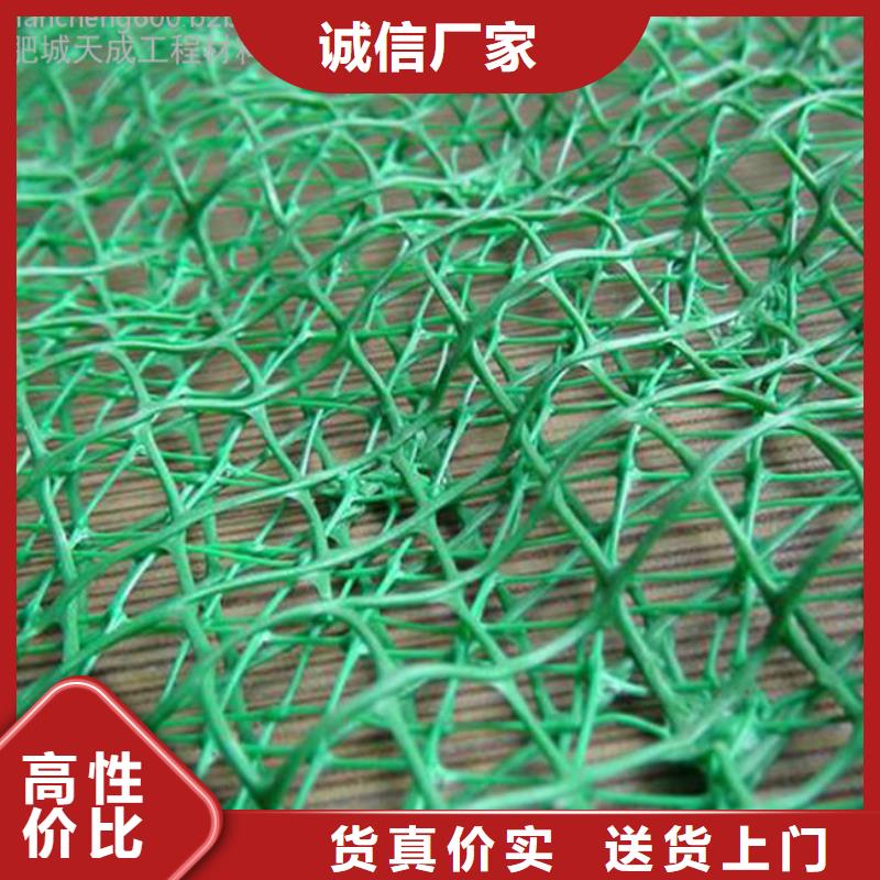 三维植被网【玻纤土工格栅】一站式厂家