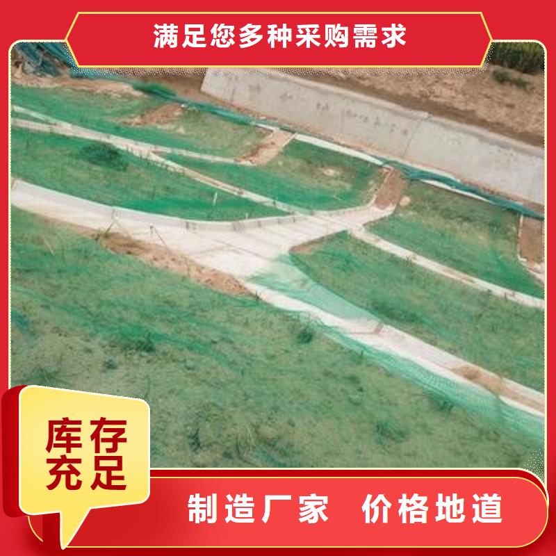 三维植被网单向塑料土工格栅产品参数