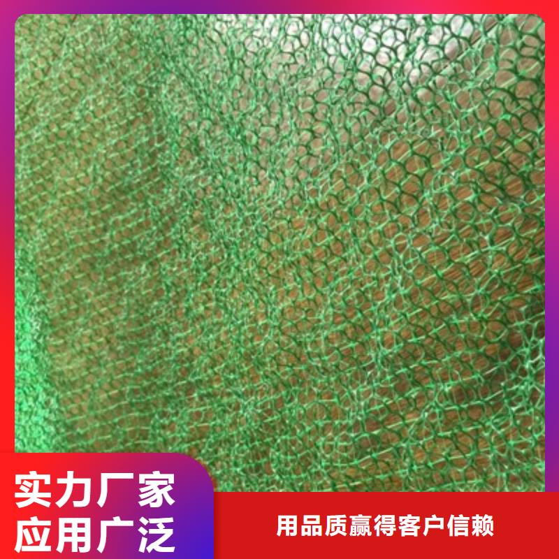 优选:【行业优选 三维植被网-钢塑土工格栅厂家值得买】