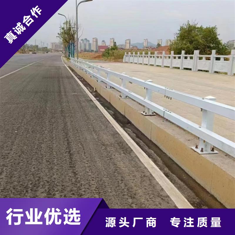 桥梁护栏-喷塑防撞护栏定制速度快工期短