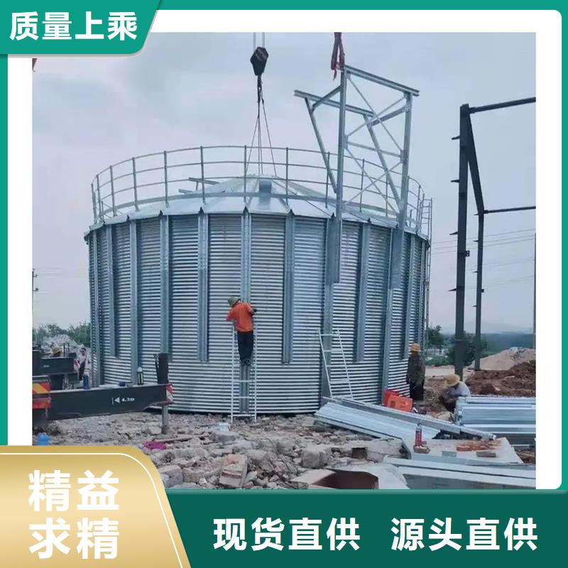装配式粮仓钢板仓厂家-可按需定制