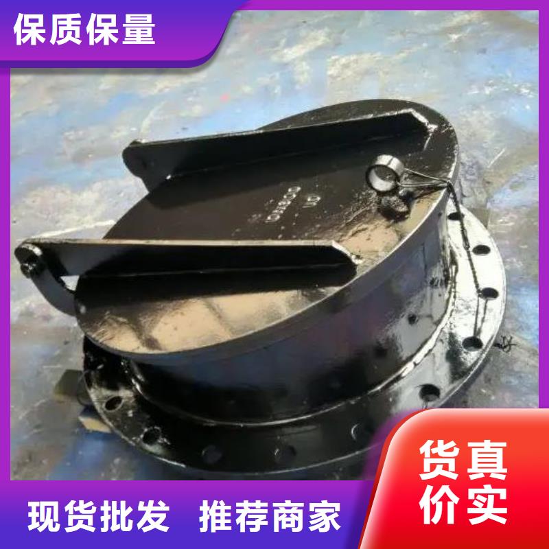 拍门 铸铁闸门质检严格放心品质