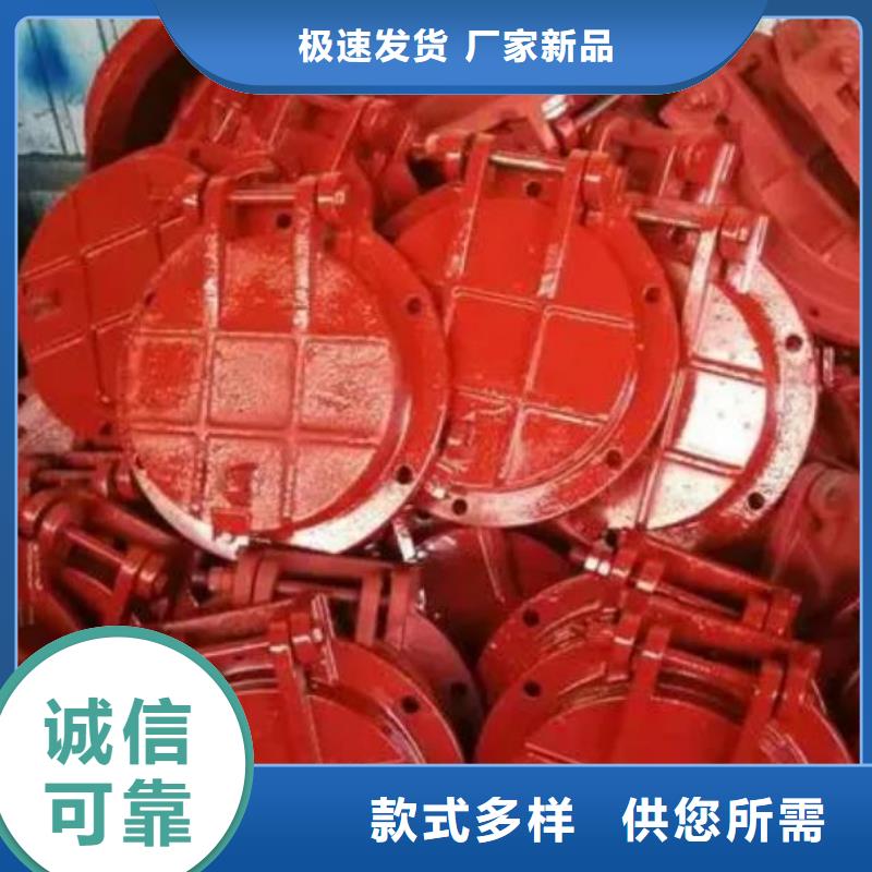 您身边的厂家【拍门】双向止水闸门供应采购_扬禹水工机械有限公司